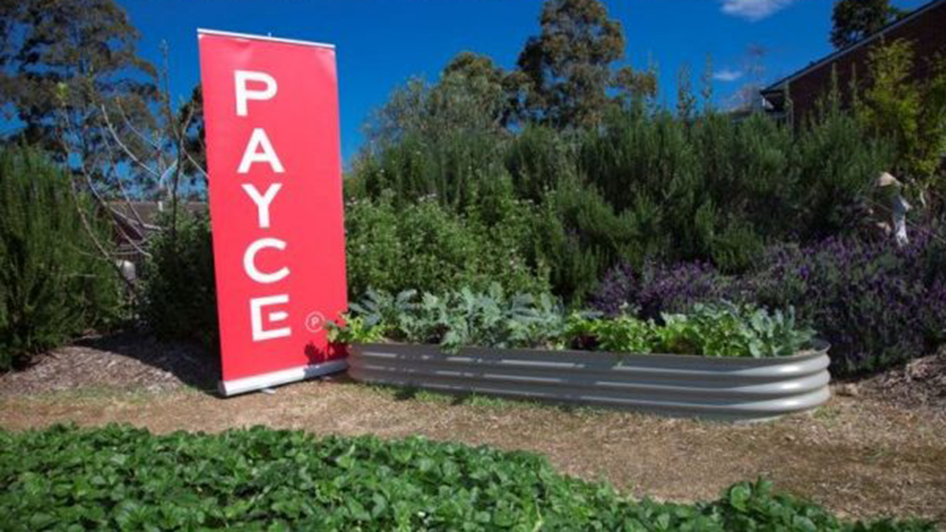 Telopea Public School’s community garden set to thrive from corporate funding